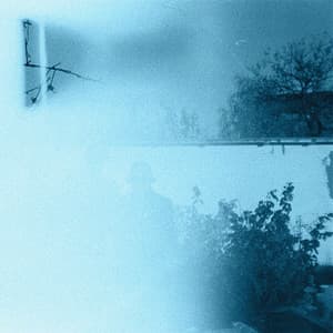 Dolphin House Experiement - Sane