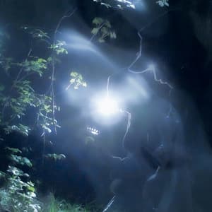 Dolphin House Experiement - Eclipse